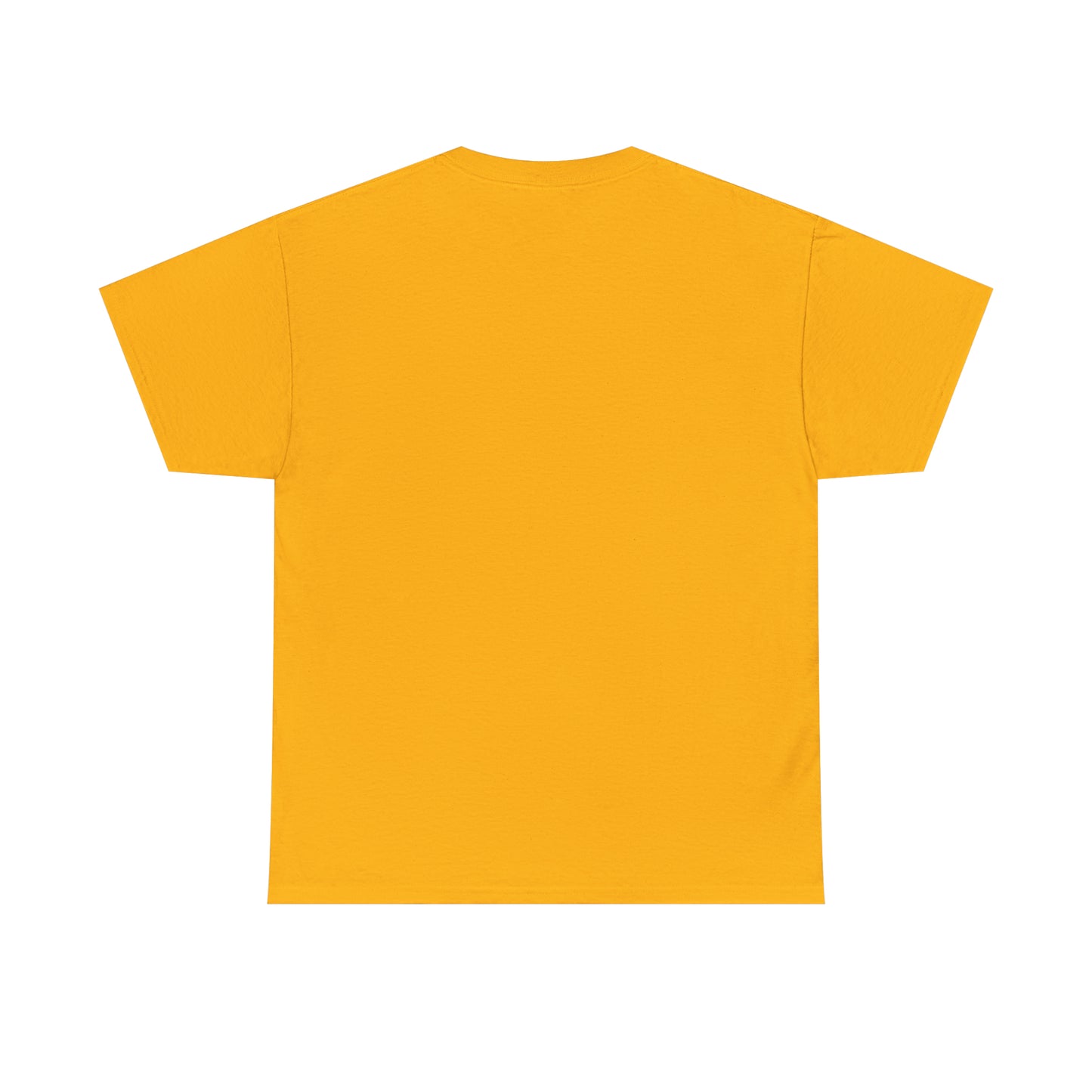 TShirt Funny "Unfavorable D1 Roll" DICE Tee "Guess I'll just die then" D&D - Pick Your Color, Up to 5x Sizing!