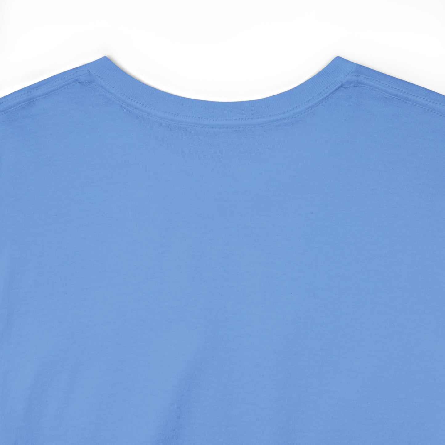 TShirt Funny "Unfavorable D1 Roll" DICE Tee "Guess I'll just die then" D&D - Pick Your Color, Up to 5x Sizing!