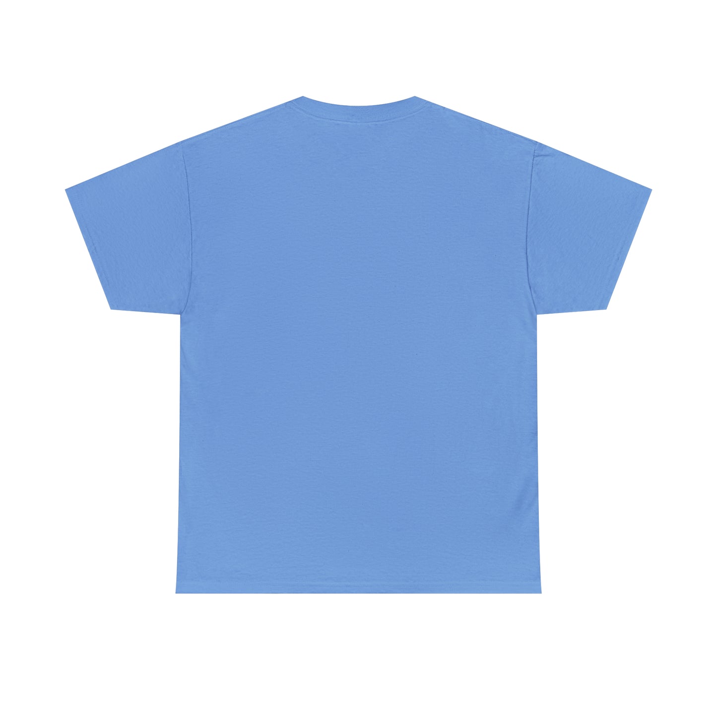 TShirt Funny "Unfavorable D1 Roll" DICE Tee "Guess I'll just die then" D&D - Pick Your Color, Up to 5x Sizing!