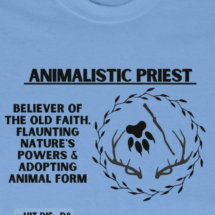 TShirt DRUID Tee D&D - Pick Your Color, Up to 5x Sizing!