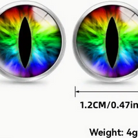 Dragon Eye Rainbow Fashion Silvertone Stud Earring Set