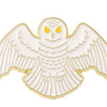 Owl Pin
